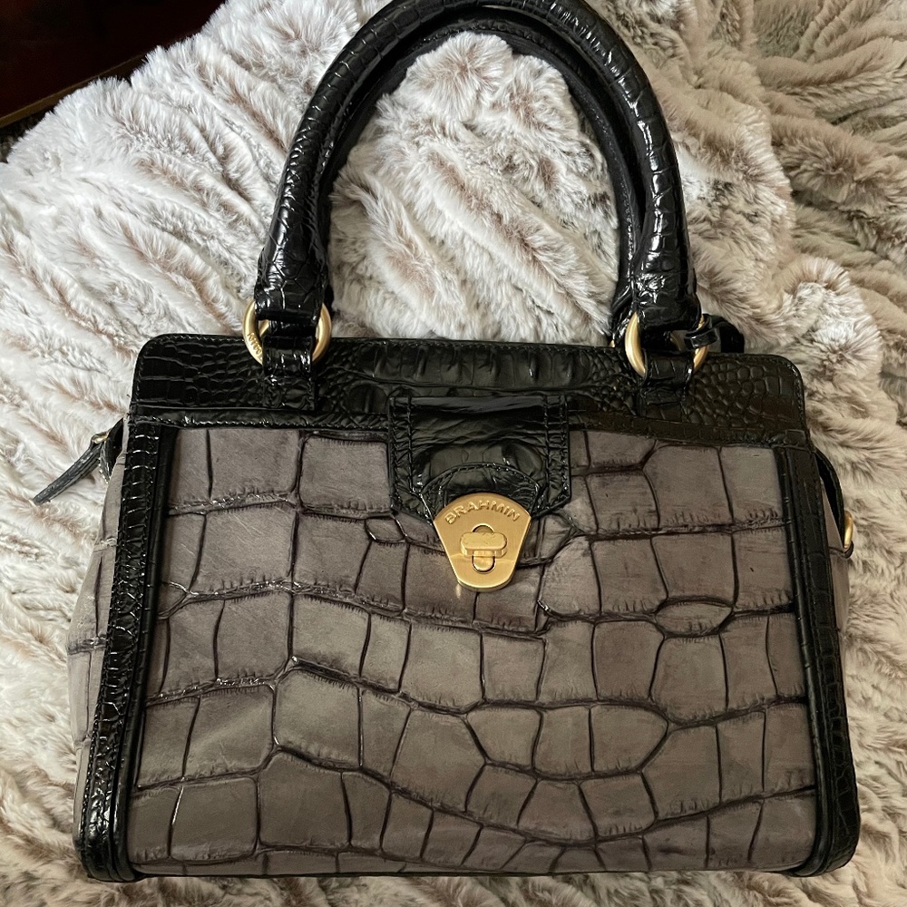 Two toned Brahmin purse